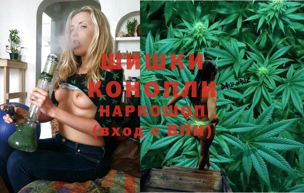 ECSTASY Вяземский