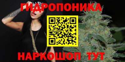 СК Заводоуковск