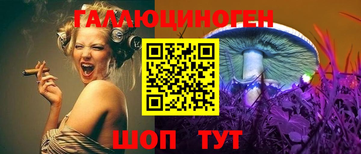 Рыбинск  Галлюциногенные грибы Psilocybe  Вход с VPN 