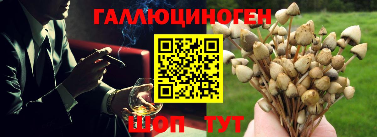 Галлюциногенные грибы ЛСД Рыбинск